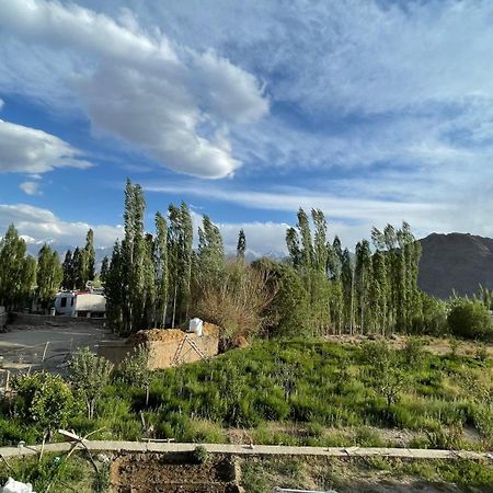 The Willow House Leh Bagian luar foto