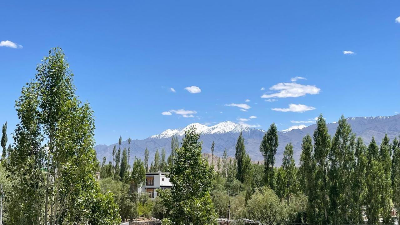 The Willow House Leh Bagian luar foto