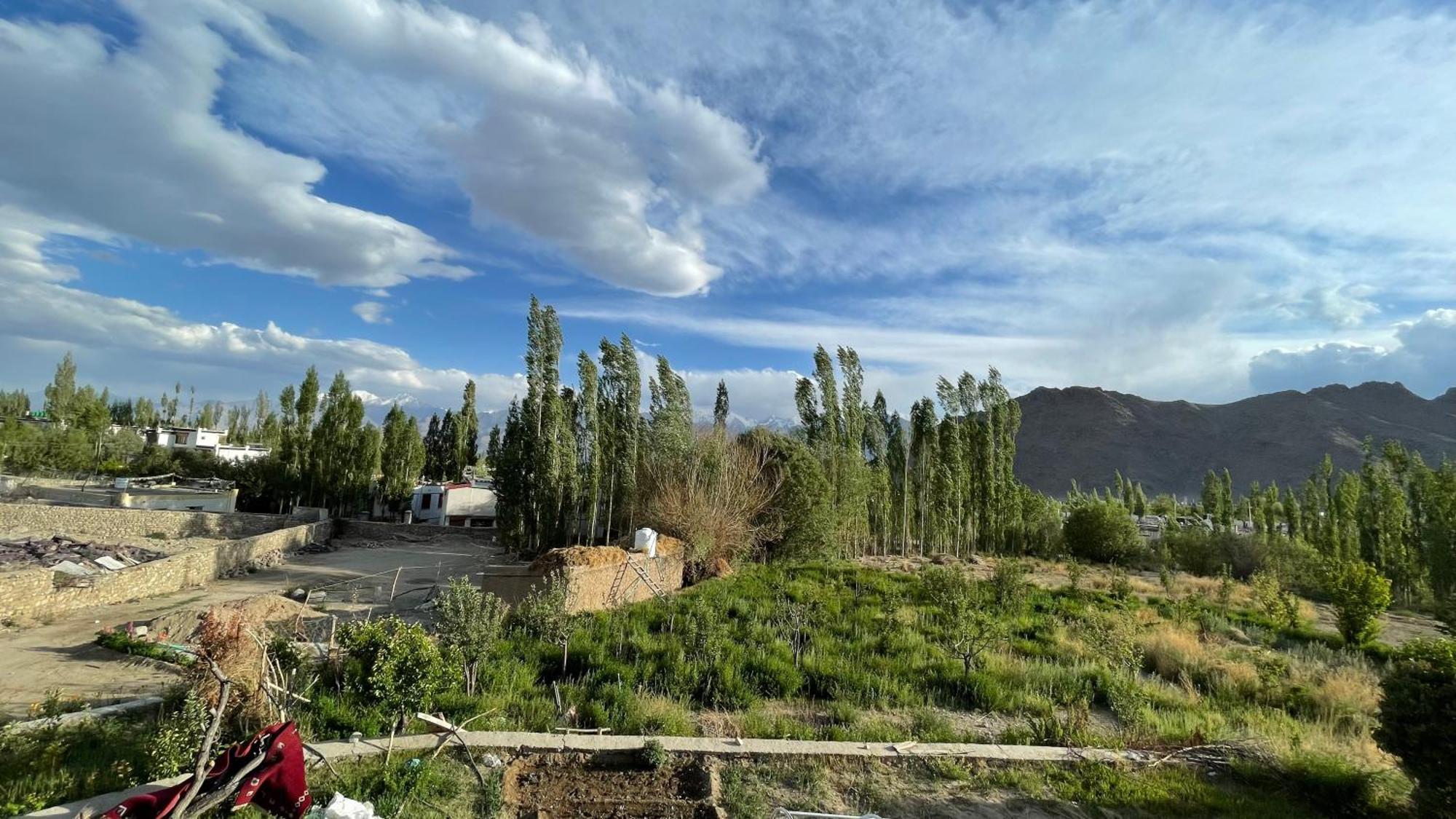 The Willow House Leh Bagian luar foto