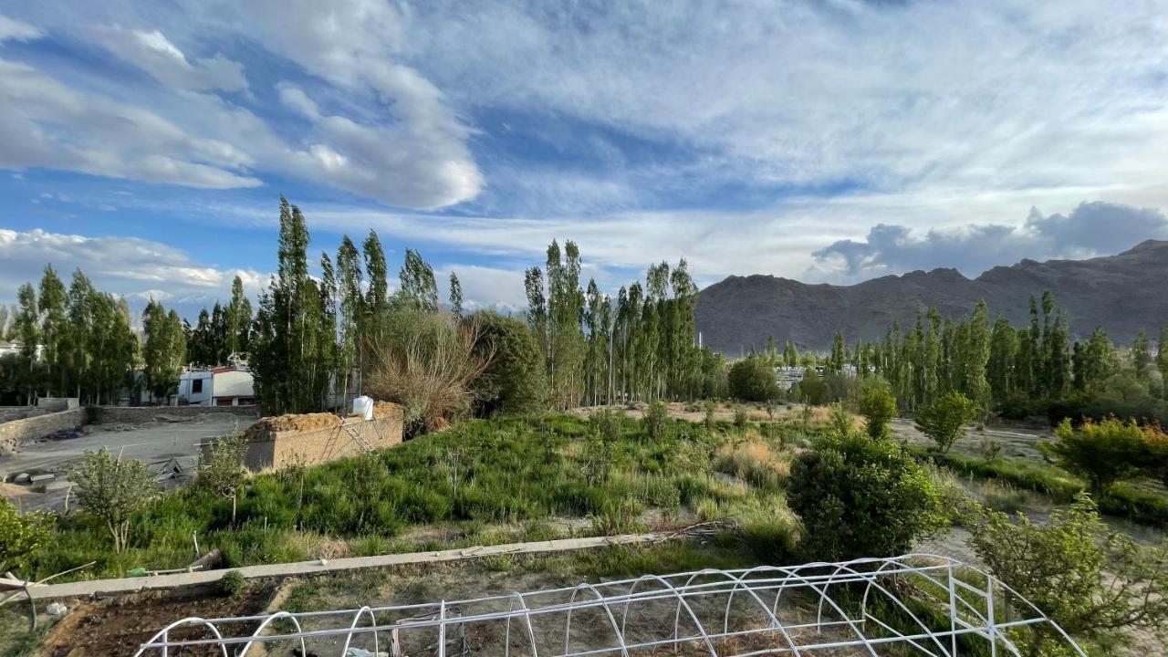 The Willow House Leh Bagian luar foto