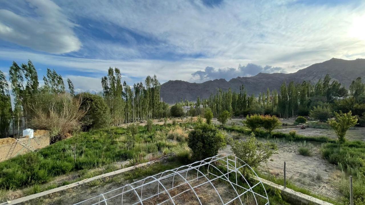 The Willow House Leh Bagian luar foto