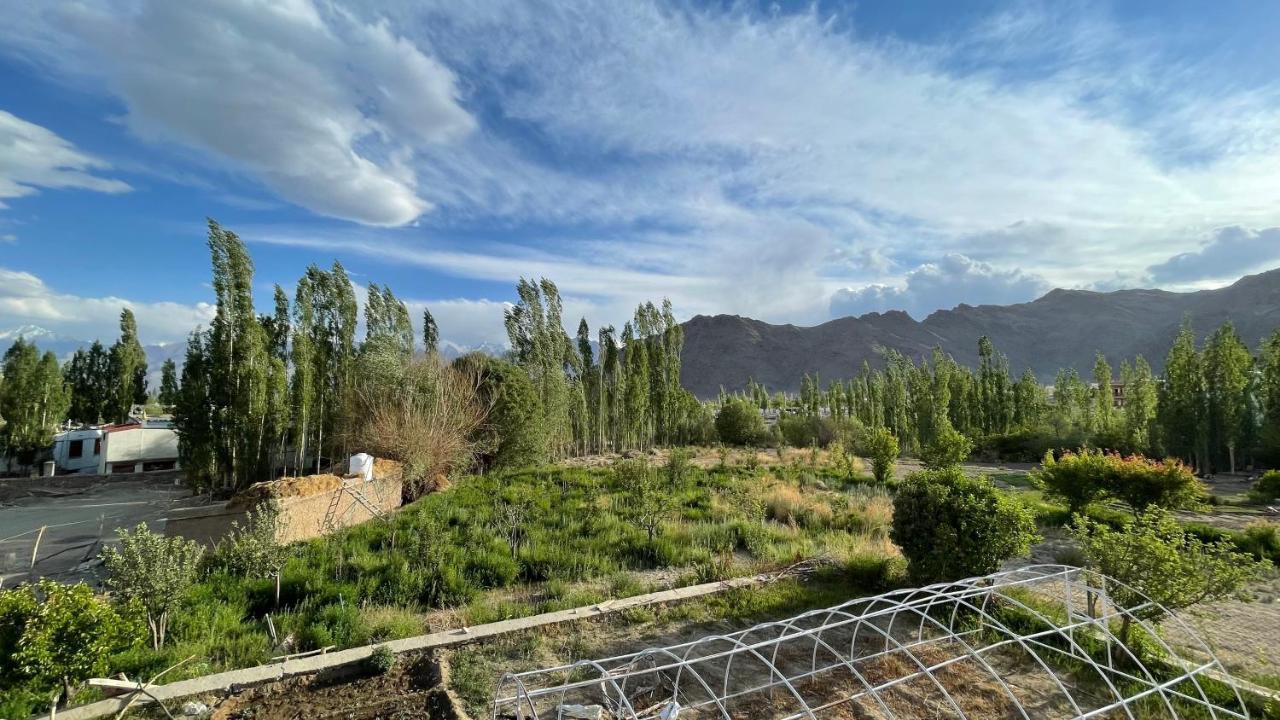 The Willow House Leh Bagian luar foto