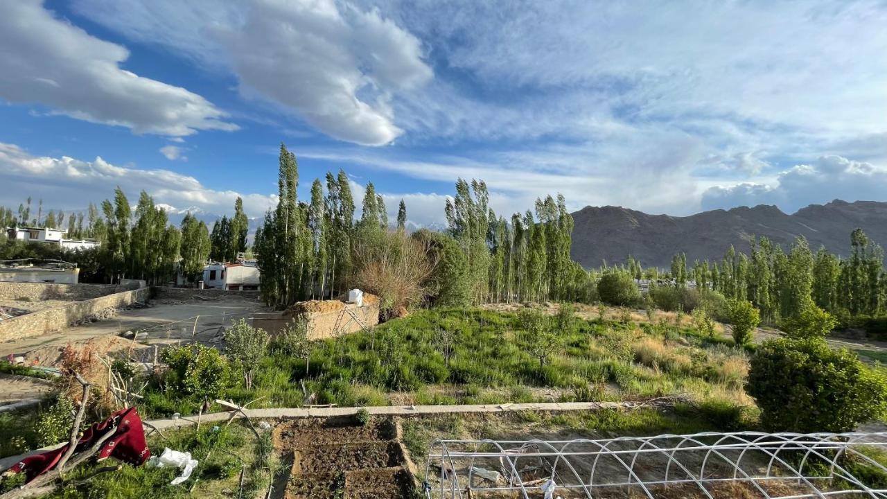 The Willow House Leh Bagian luar foto