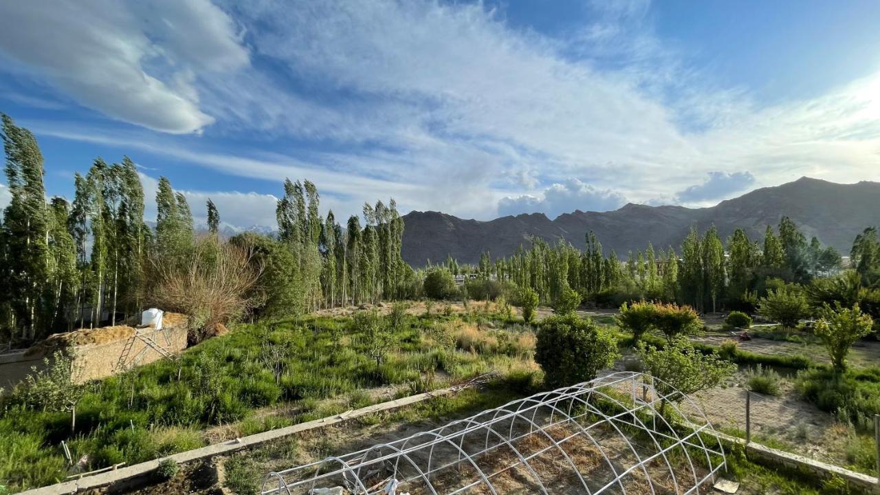 The Willow House Leh Bagian luar foto